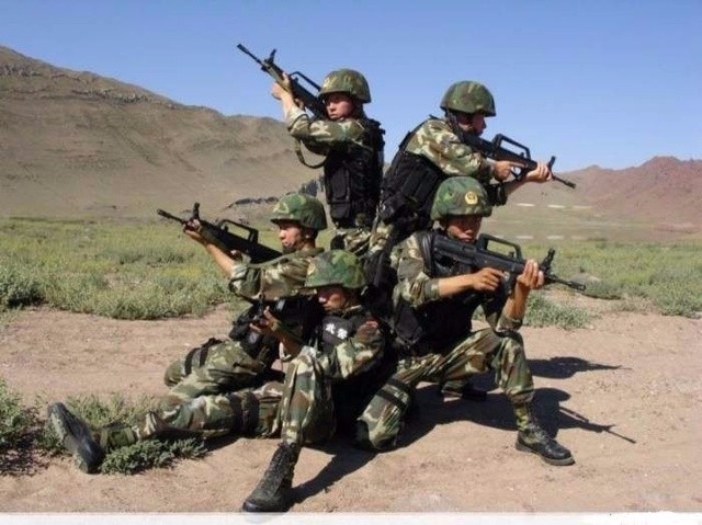 东北虎是中国人民解放军的一支精锐的特种部队,隶属于沈阳军区