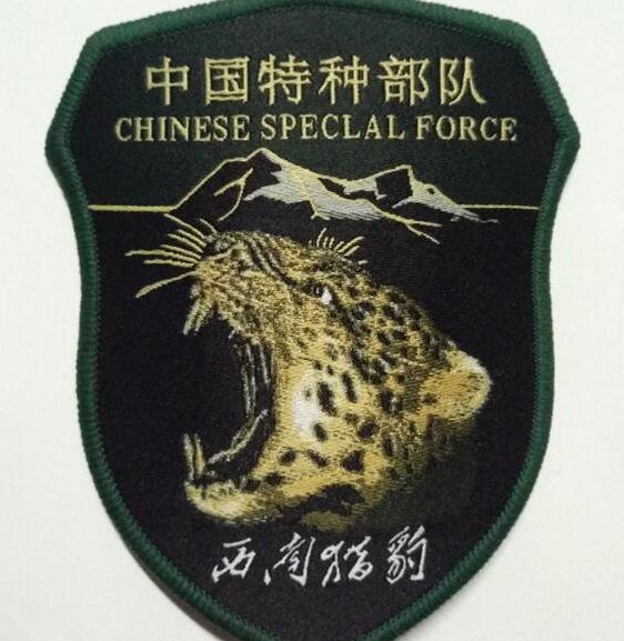 中国特种部队徽章辨识,你认识几个?