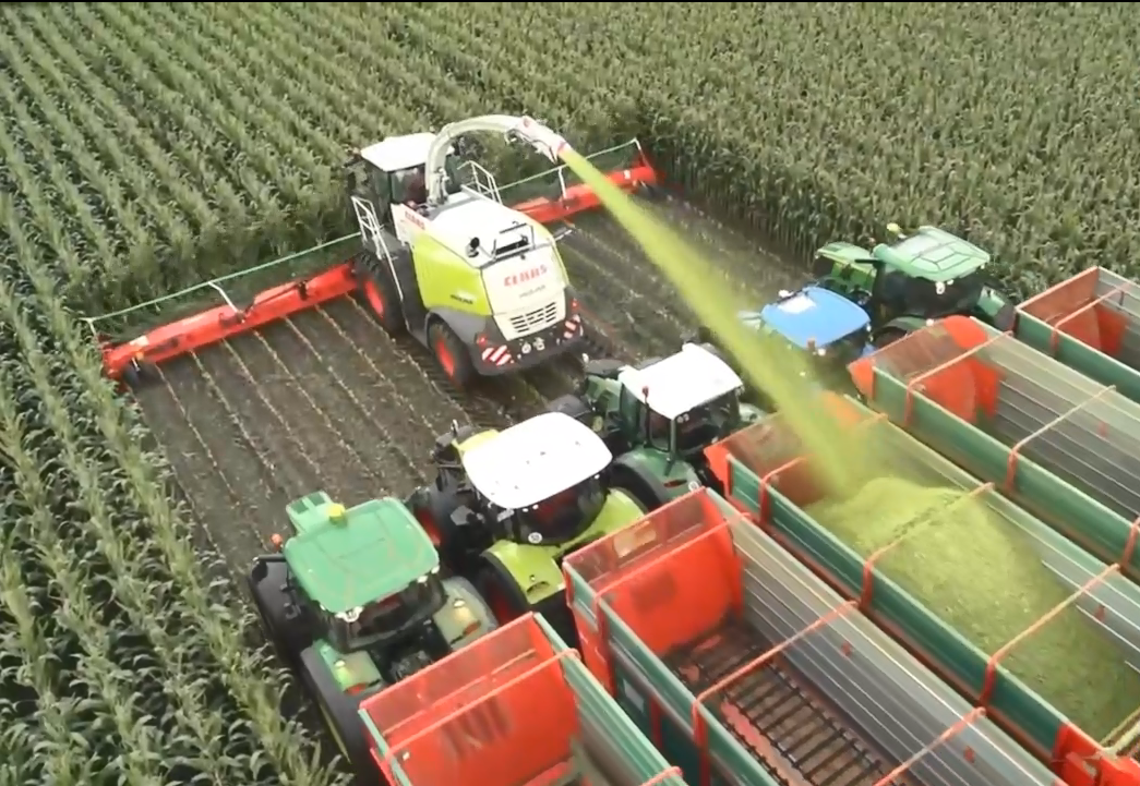 德国制造的最大农场收割机,1小时可以收割90亩玉米地!
