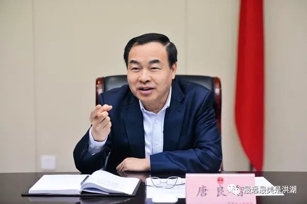 洪湖儿女多奇志:贺唐良智同志任重庆市人民政府副市长,代理市长