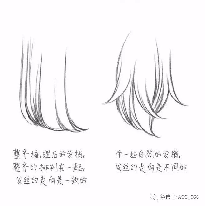 绘画基础|女性头发的画法之发梢与发根