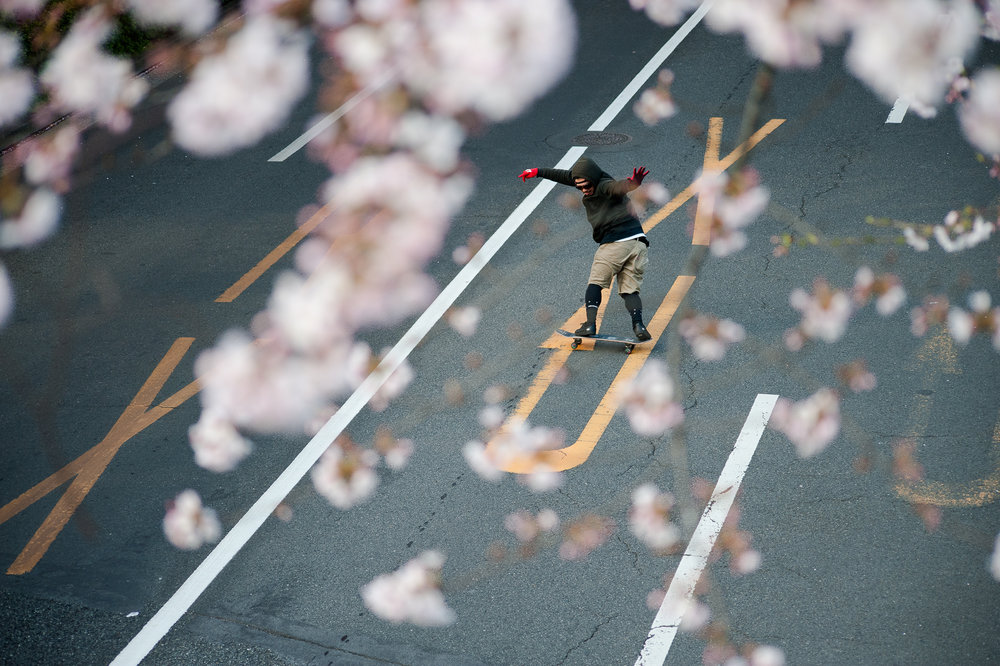 日本的滑板和樱花