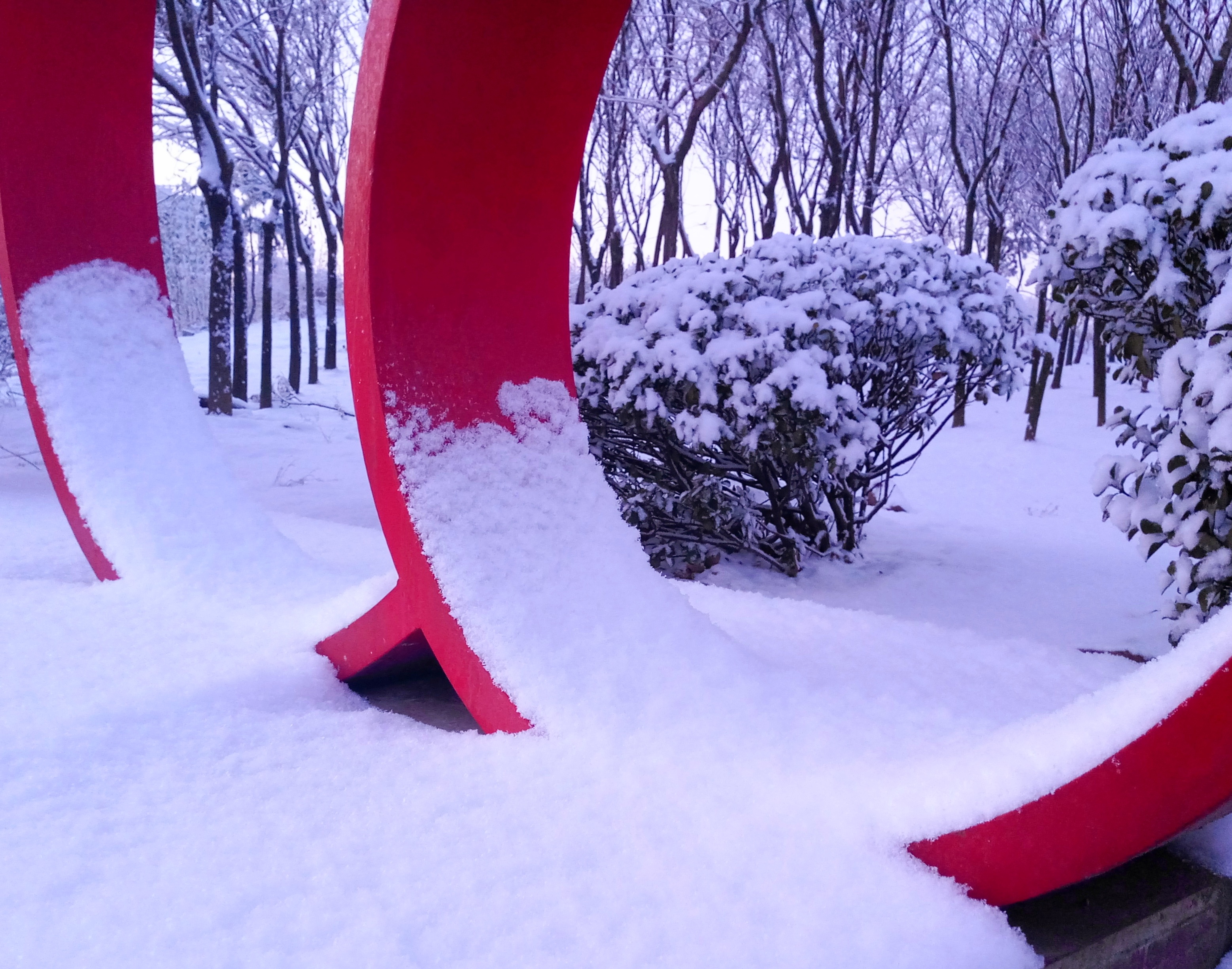 雪生来就是优雅的 让你不由的发呆 整个世界都慢了下来