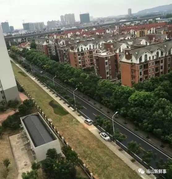 武汉江夏庙山又有多条道路刷黑!赏湖景佳地!