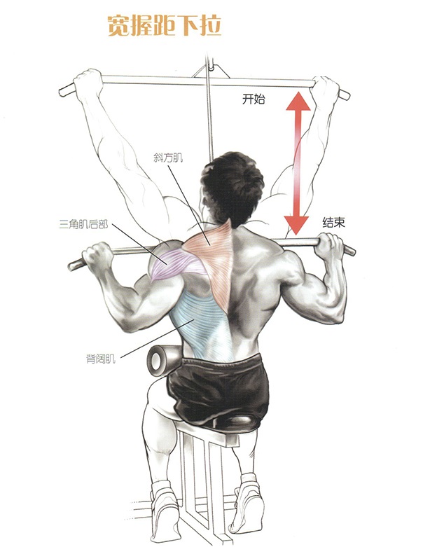 如何放松背部肌肉图解图片