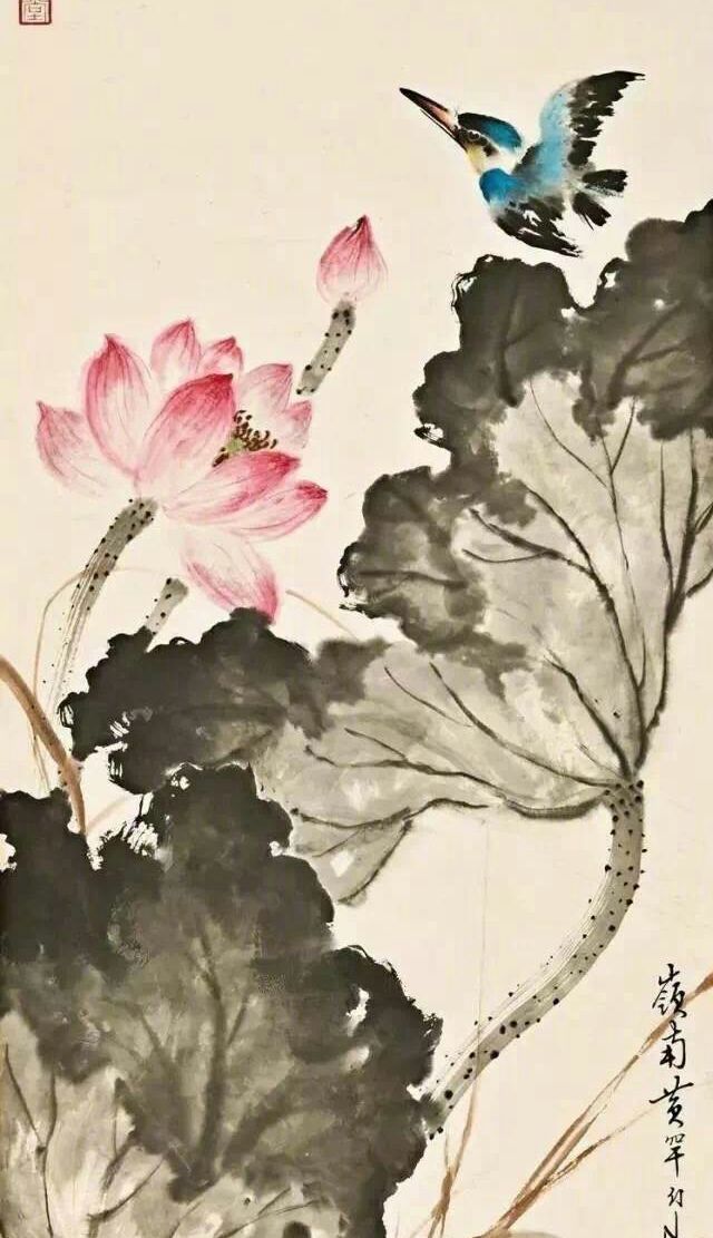 黄幻吾荷花绘画欣赏