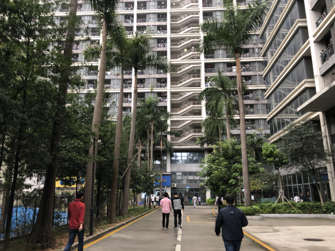 深圳观澜富士康,第一天上班,感觉整个世界都很美