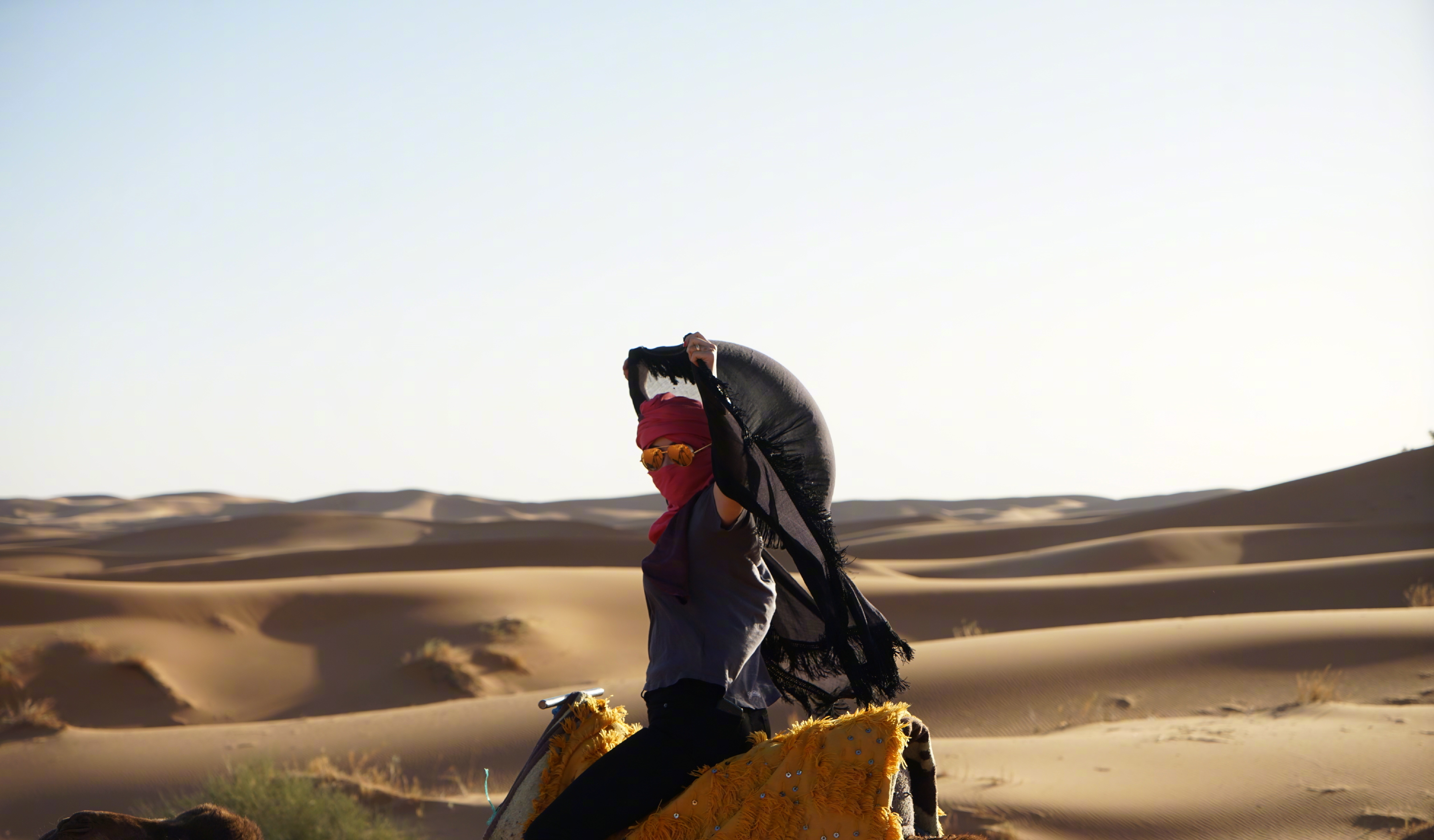 刘嘉玲晒旅游写真,沙漠里骑骆驼美艳动人