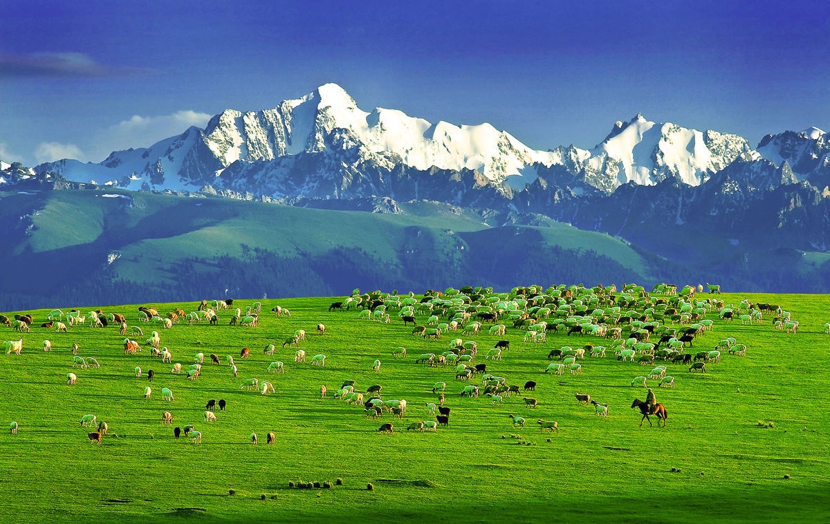 世界七大山系之一的天山,横跨四国国,上有一天池,其美如明珠