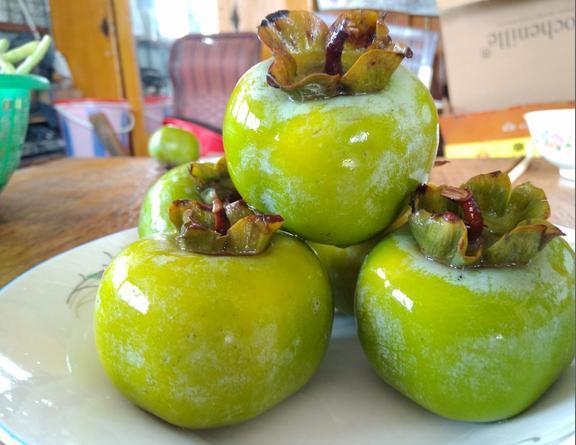 还在疑惑为什么那么多人喜欢吃生柿子?其实是你的吃法不对