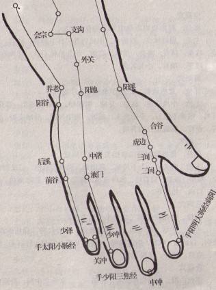 「穴位系列」手穴解密緒言理論