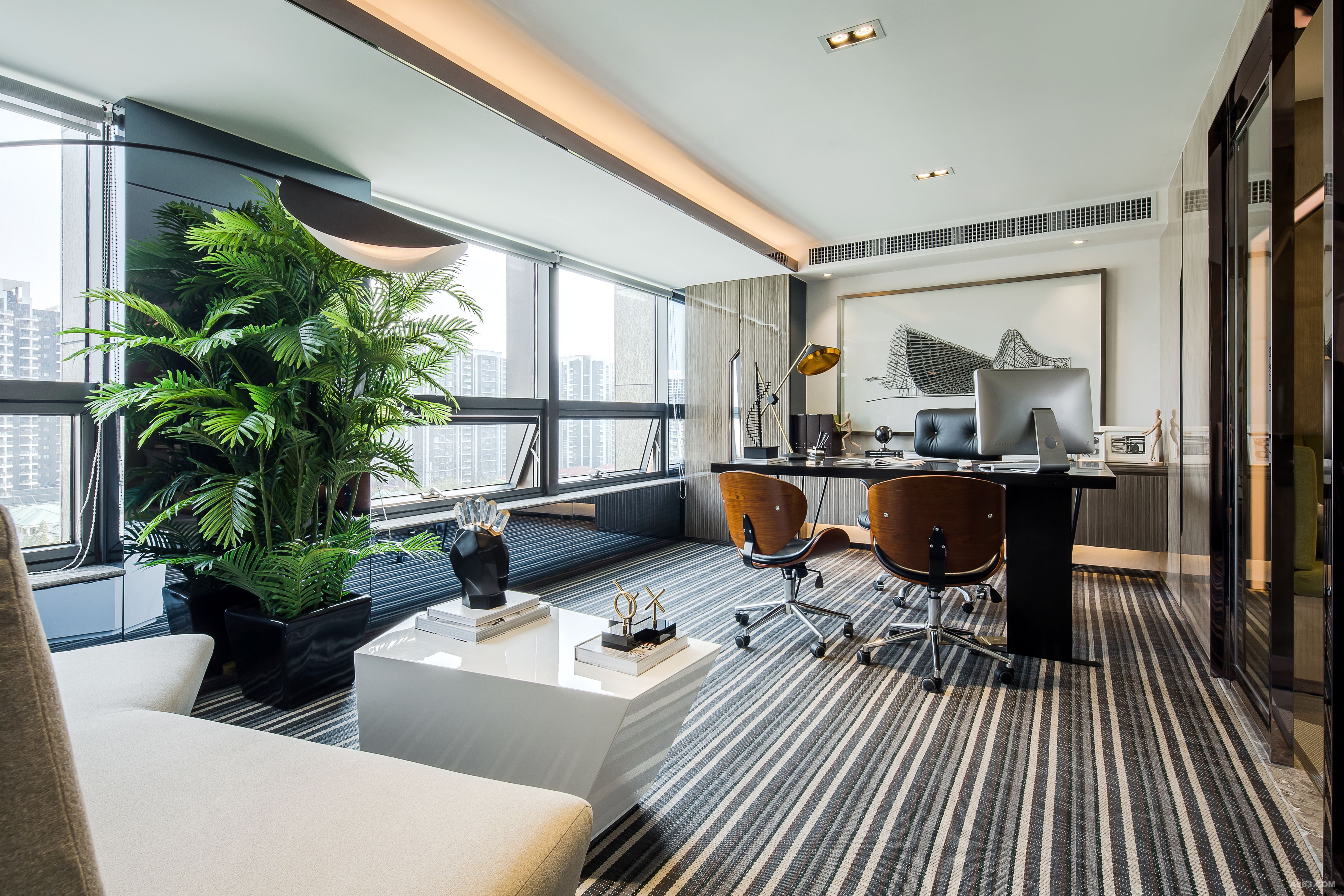 不同生肖的办公室花卉最佳选择