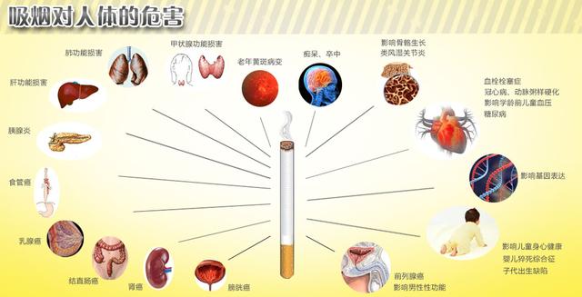 吸烟对性功能影响大吗图片