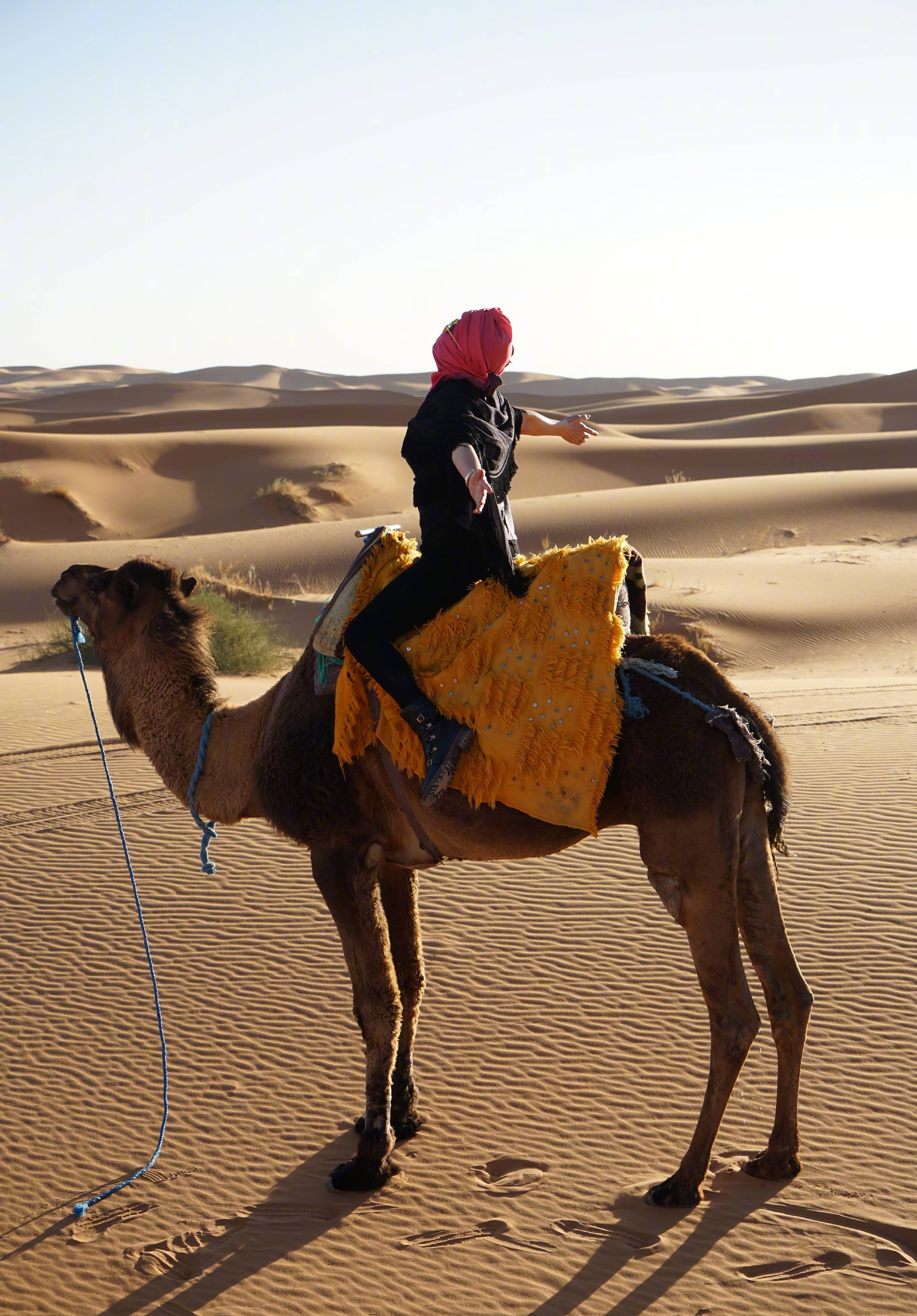 刘嘉玲晒旅游写真,沙漠里骑骆驼美艳动人