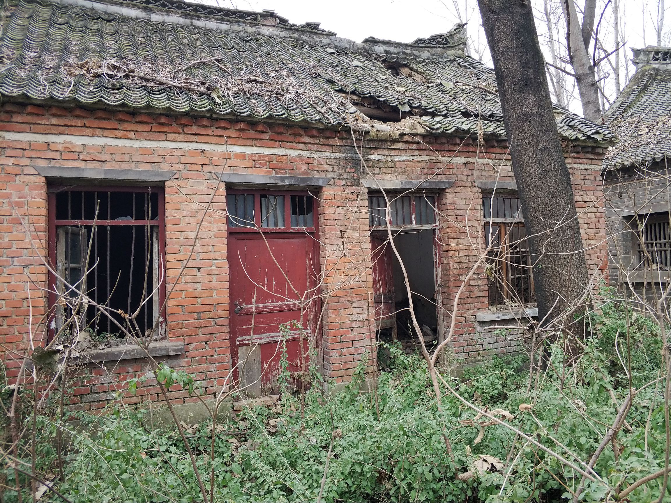 别人嘲笑这破院子,我却瞬间落泪,我连个这破院子都没有!