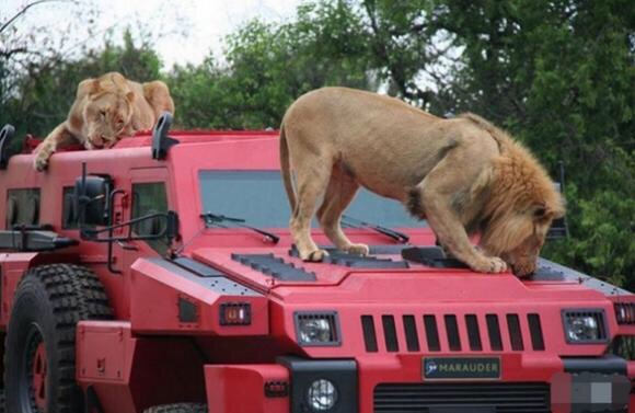这辆看起来体型庞大的越野车名爲派拉蒙掠取者,不只是它的名字霸气,其