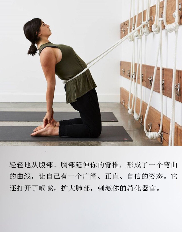 艾扬格墙绳瑜伽体式图片