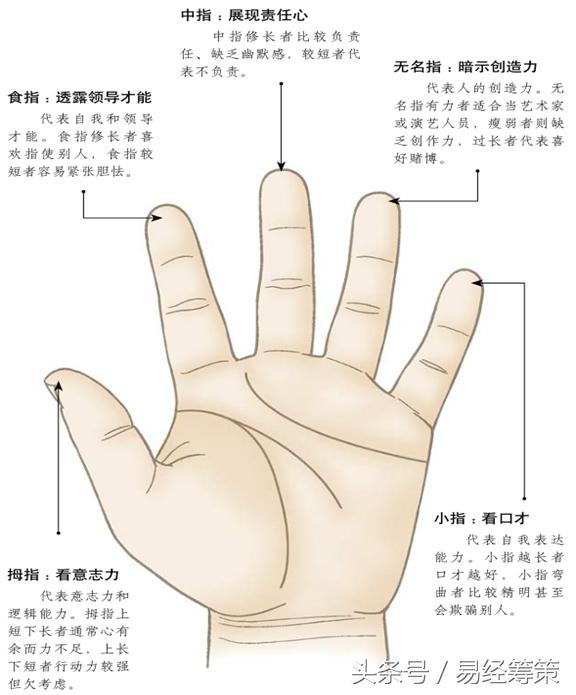 五个手指相图解图片
