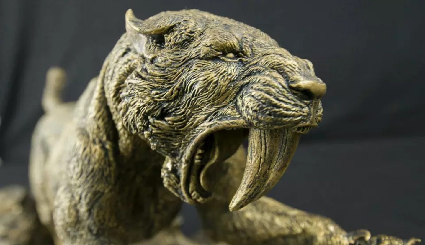 爱好收集分享:少有的剑齿虎树脂手办模型雕像,看上去生龙活虎