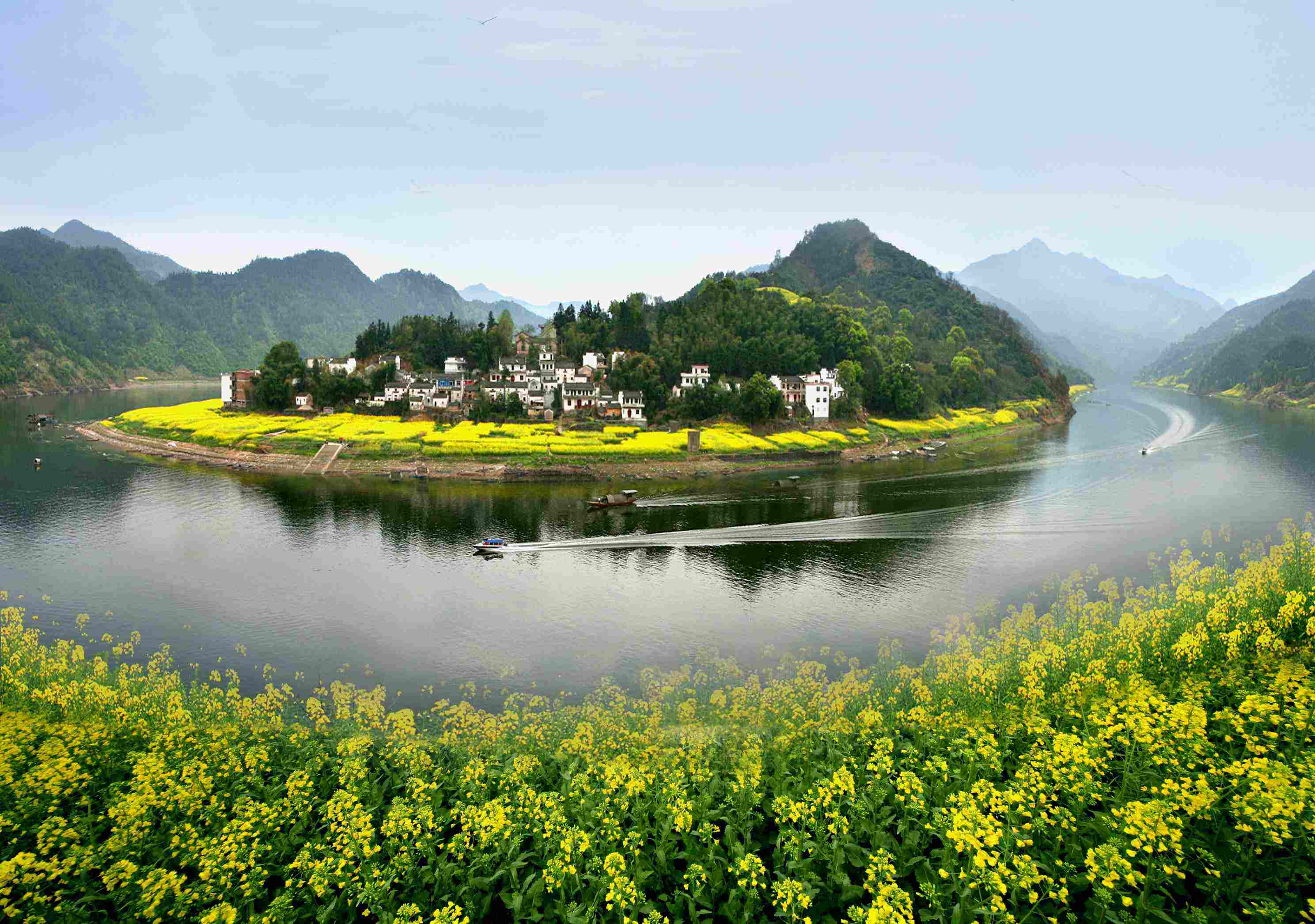 属牛旺财山水风景图片图片