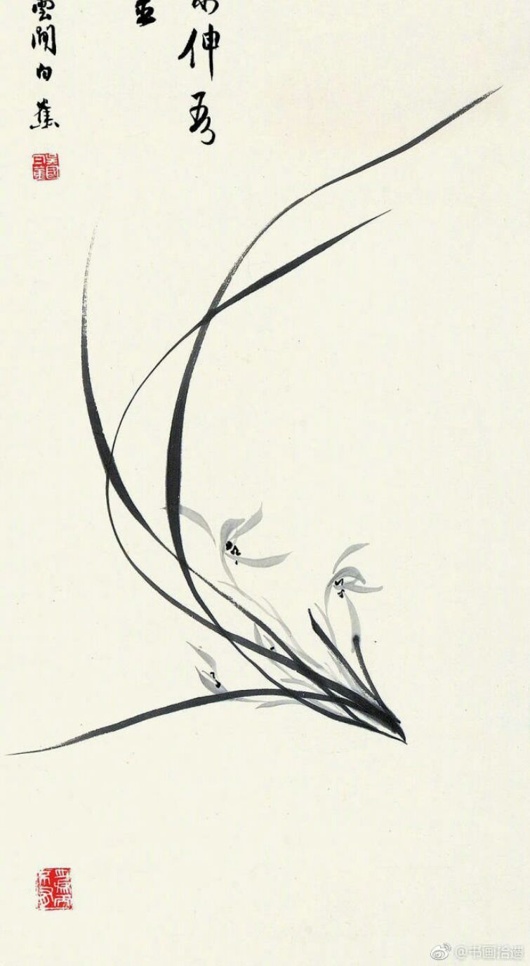 白蕉兰花绘画作品欣赏