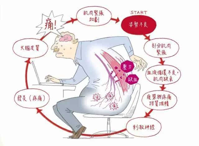 腰疼部位图片