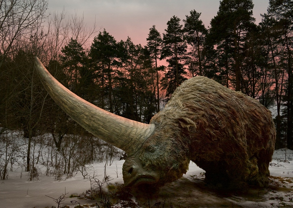 那些灭绝的史前巨兽:犀牛的祖宗们!