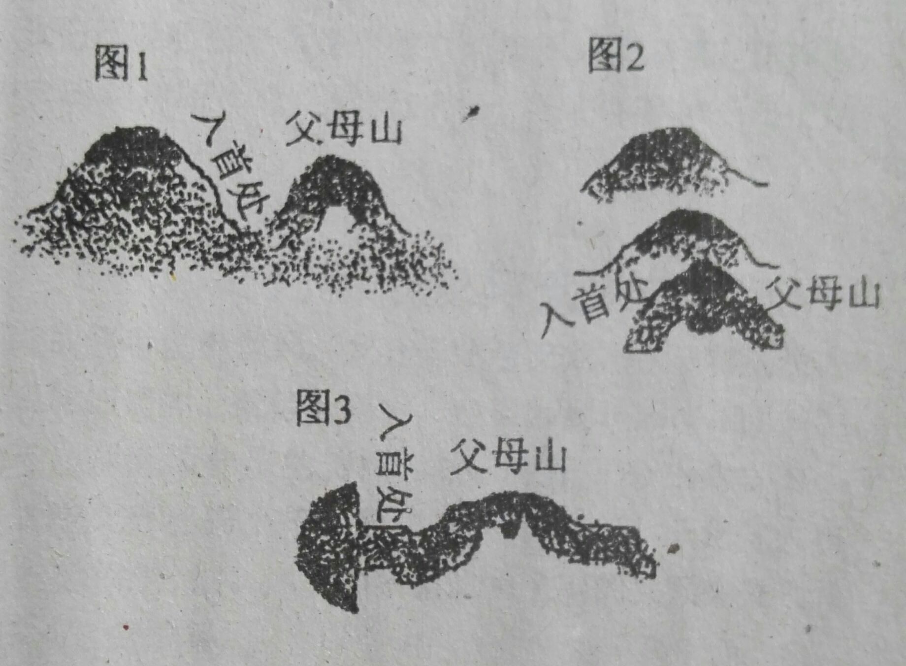 怎样测入首龙图片图片