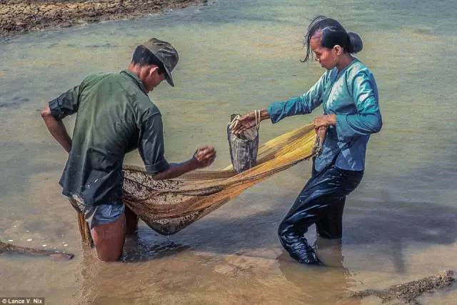 越南女人捞鱼图片