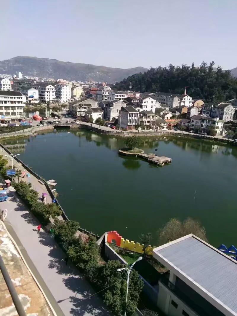 我的美丽家乡一一苍南县金乡镇