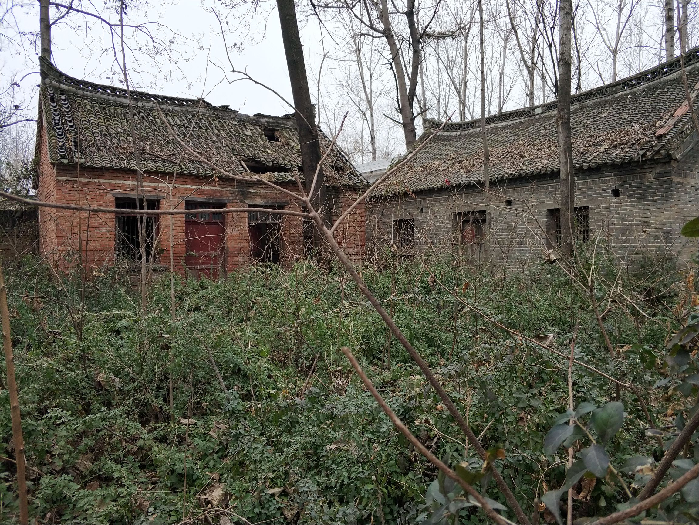 别人嘲笑这破院子,我却瞬间落泪,我连个这破院子都没有!