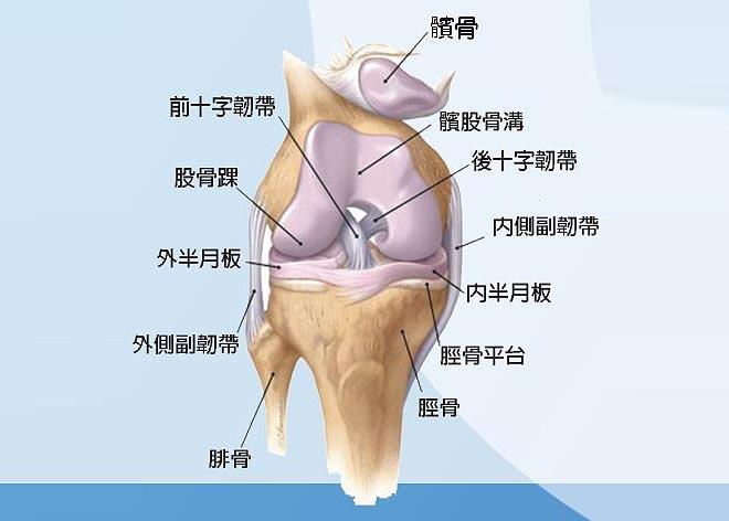 半月板损伤能走路吗图片