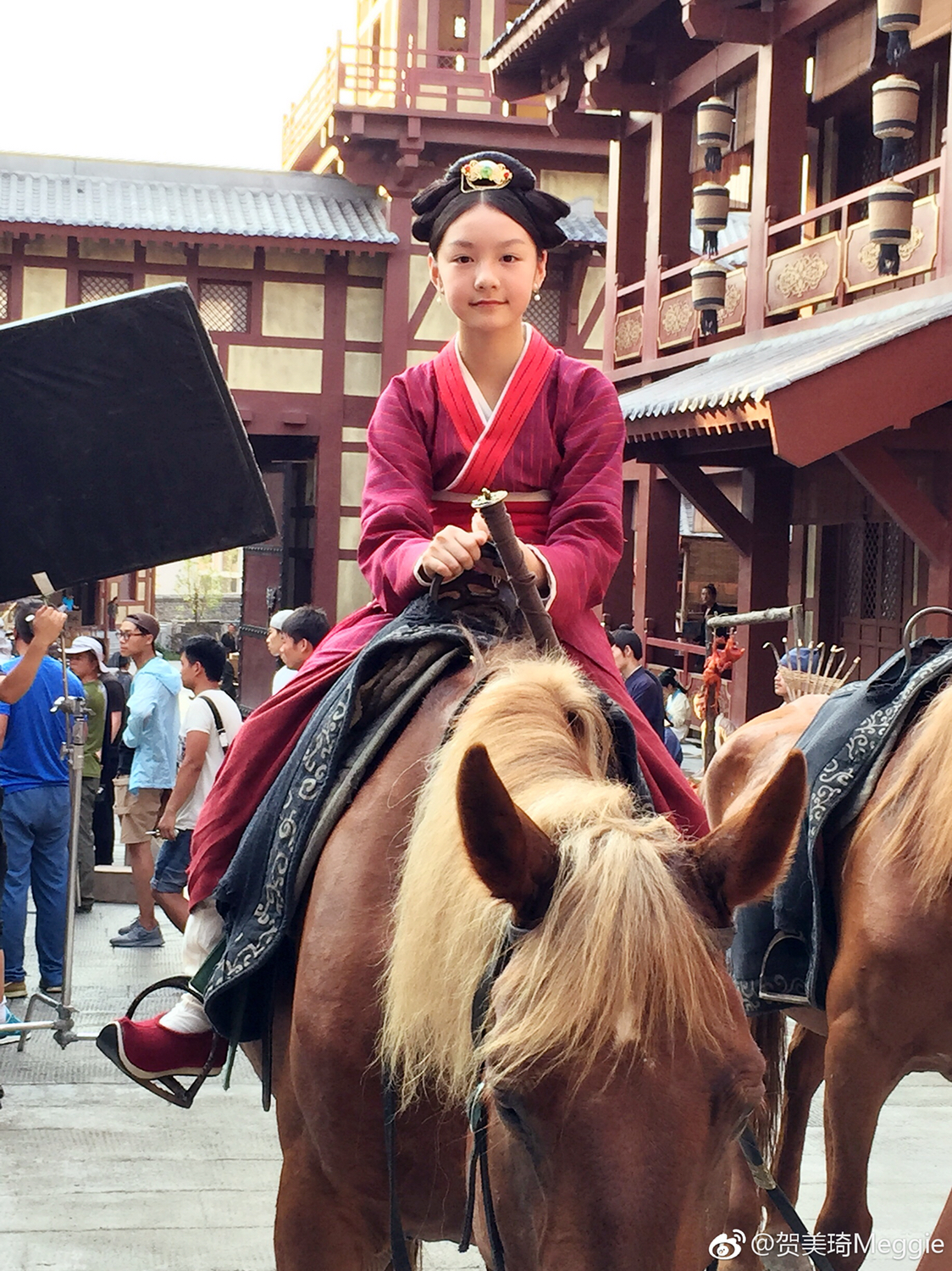 虎啸龙吟司马柔贺美琦剧照