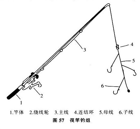 筏竿钓具主要由竿,轮,线,串钩,连结环,铅坠几部分组成