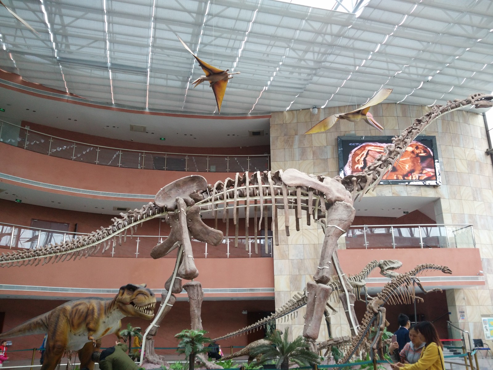 世界最大的恐龙化石博物馆——河源古动物馆