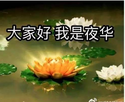6abafff75bbf18a5777f81504b1919c8.png