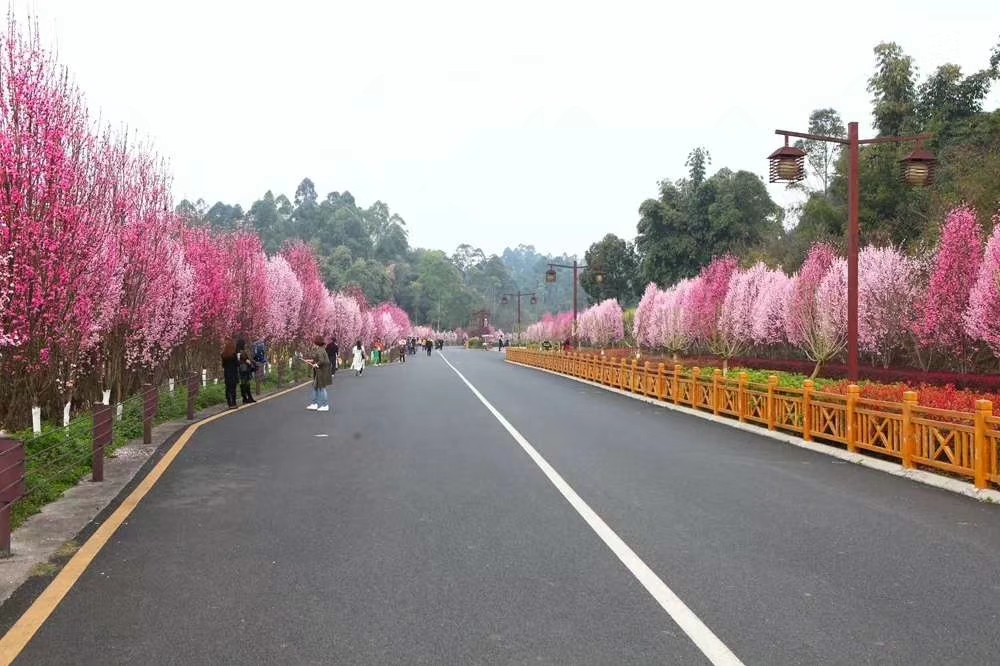 论大乐山的绿心路公园