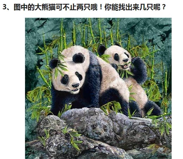 考眼力的图片找熊猫图片