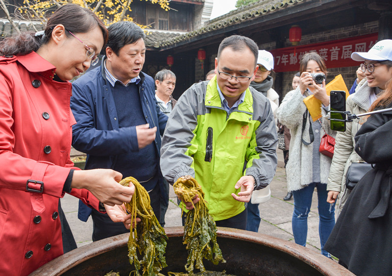 非遺文化 匠心傳承 鄞州雪菜成為寧波農產品新網紅