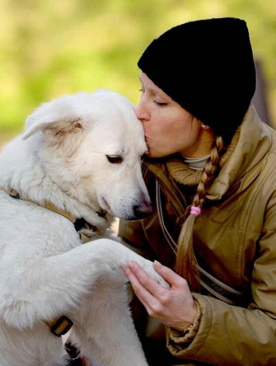 动物与人之间的温馨感人画面 好有爱啊