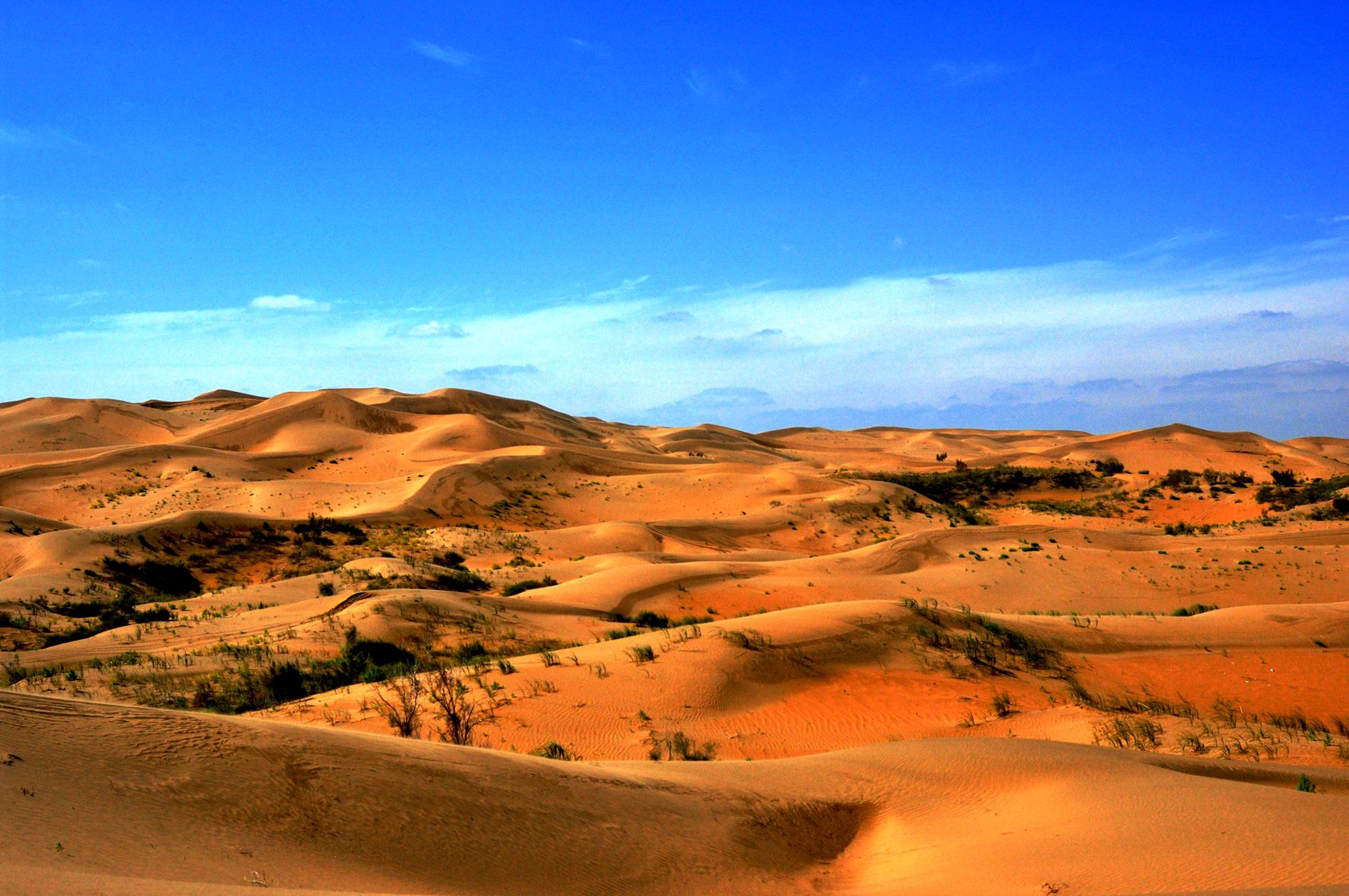 随着库布其沙漠逐渐绿化啊,逐渐的修复,生态环境也得到了好转,这里的