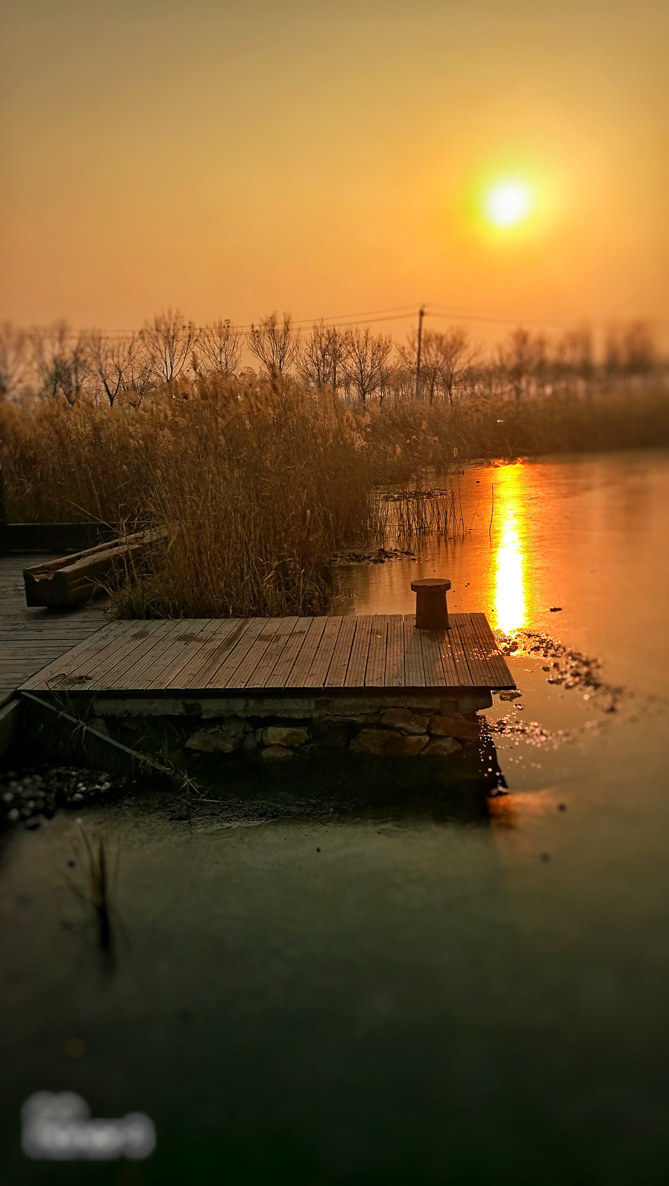 手机随拍-冬季东丽湖|天津