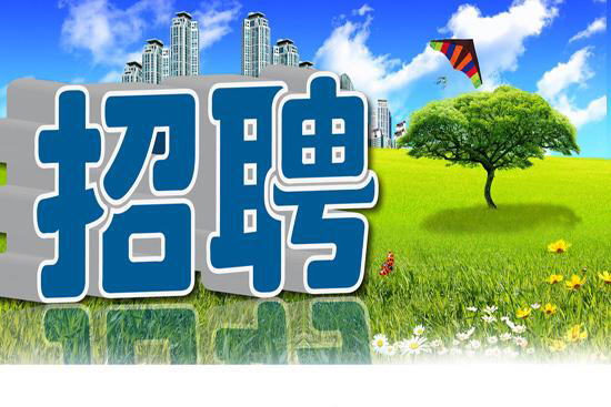 昆明招骋网(昆明ktⅴ招聘网)