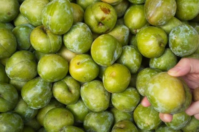 柰李又名青布林,是李子的变种,果皮黄绿色,味道清甜.