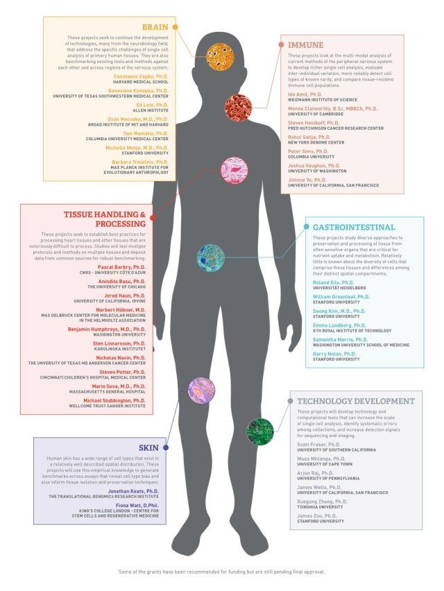 振奋!继基因组计划之后,人类细胞图谱计划重磅来袭!