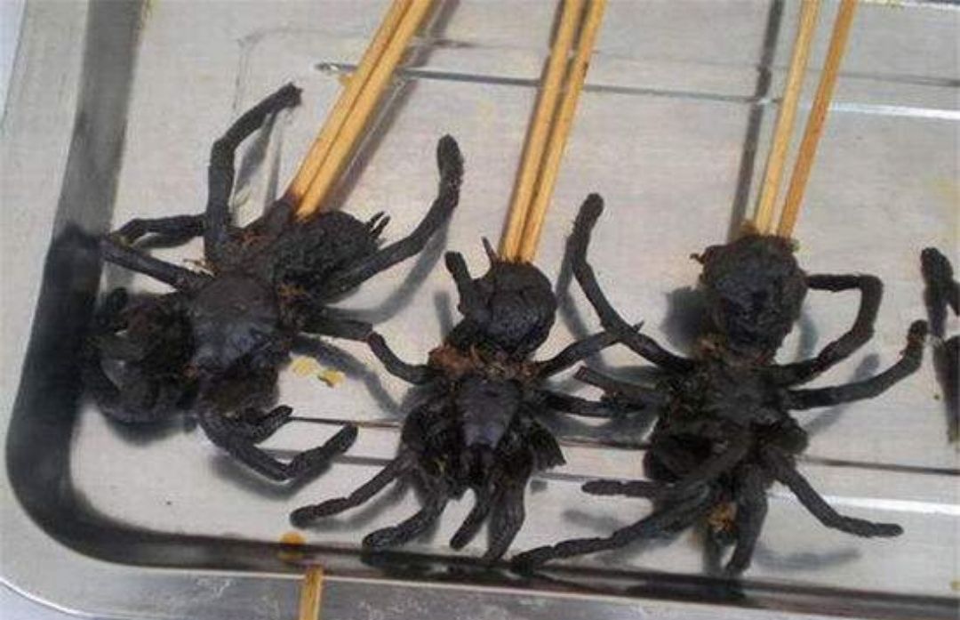 非洲部落吃蜘蛛,你怎么看?