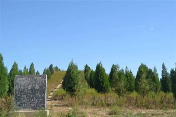 不远处为王翦儿子王贲墓.