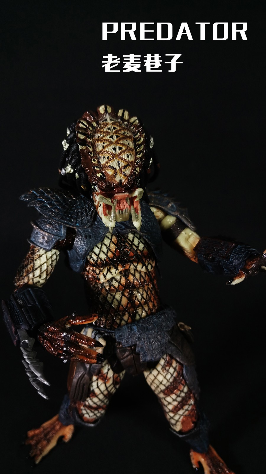 老麦随手拍(neca花蟹铁血战士)