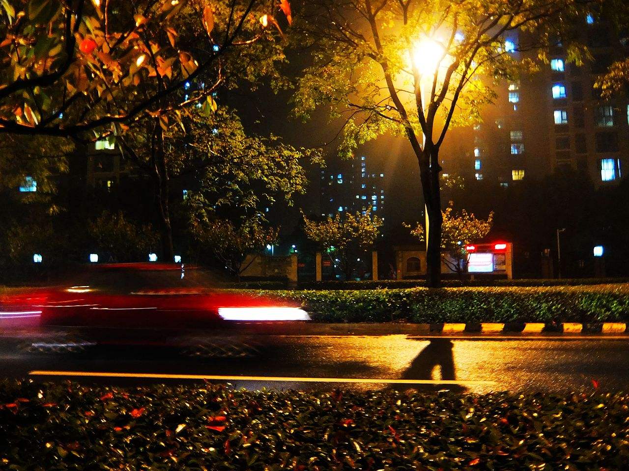 原创七绝二首:夏夜雨之歌