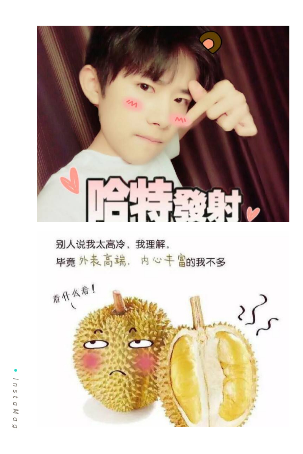 当tfboys变成了水果,易烊千玺是榴莲,王源是奇异果,王俊凯你猜